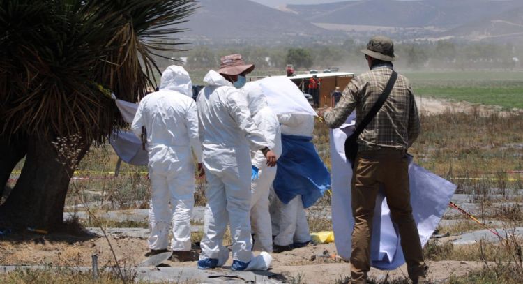 Colectivo encuentra fosa con restos humanos en rancho de Palmar de Bravo, Puebla