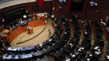 Límites a la reelección y al nepotismo (I)