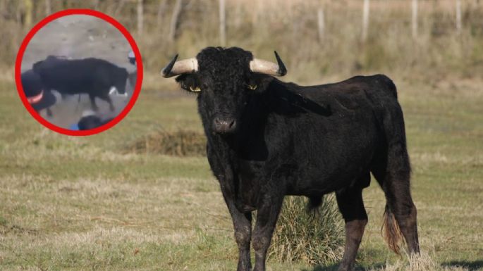 Toro embiste a 12 personas en corrida de fiesta patronal (VIDEO)