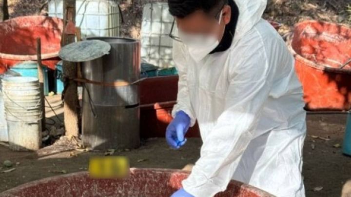 Chinos proveen de químicos a Cártel de Sinaloa, afirman autoridades de EU