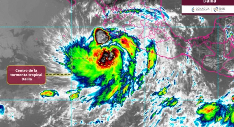 Clima domingo 15 de junio: tormenta tropical Dalila mantiene lluvias y oleaje en el Pacífico