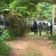Investigan el hallazgo de una presunta fosa clandestina en Tabasco