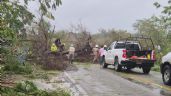 Foto ilustrativa de la nota titulada: Erick azotó Oaxaca y ahora se abre paso en tierra por Guerrero como huracán categoría 1