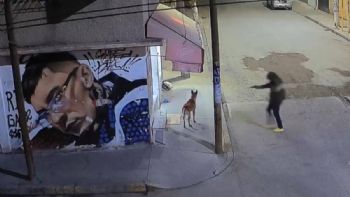 Sujeto mata a balazos a un perro en Ecatepec; el agresor sería un agente de la FGJEM