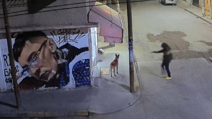 Sujeto mata a balazos a un perro en Ecatepec; el agresor sería un agente de la FGJEM