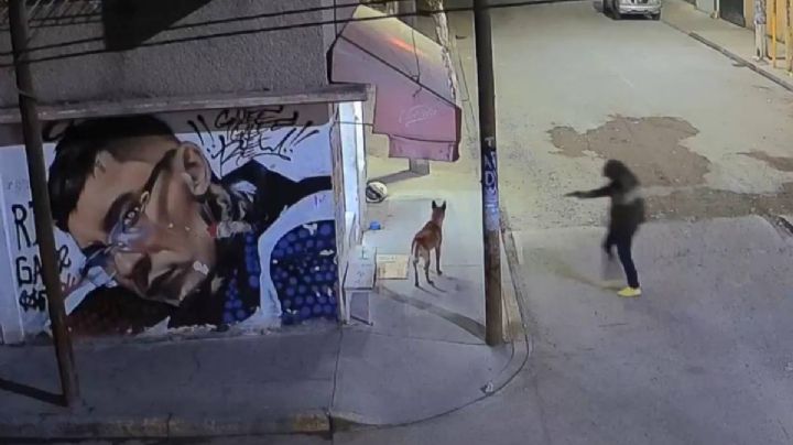 Sujeto mata a balazos a un perro en Ecatepec; el agresor sería un agente de la FGJEM