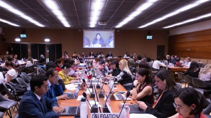 Integrantes del CEDAW-ONU reconocen acciones del gobierno mexicano en materia de mujeres