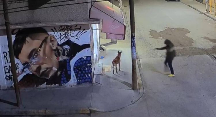Sujeto mata a balazos a un perro en Ecatepec; el agresor sería un agente de la FGJEM