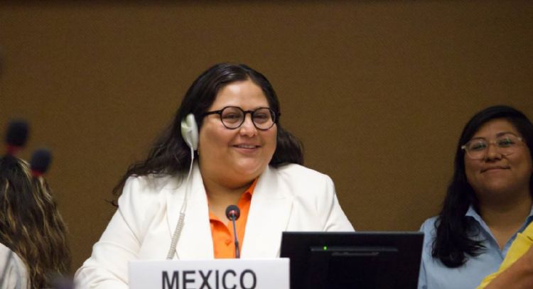 México recurre a evasiones y triunfalismo mientras persiste la violencia contra la mujer: ONG