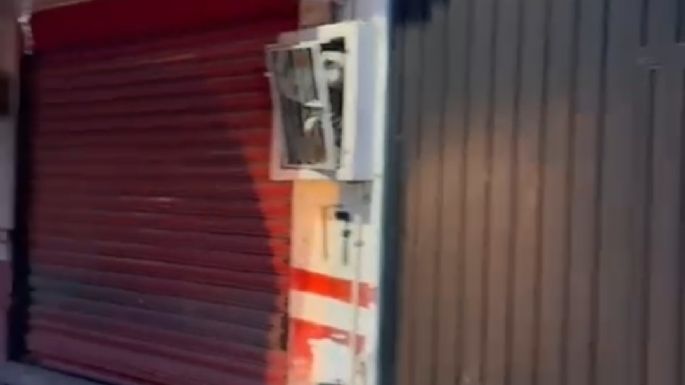 Hombre golpea a un perro en Cuernavaca y provoca su muerte