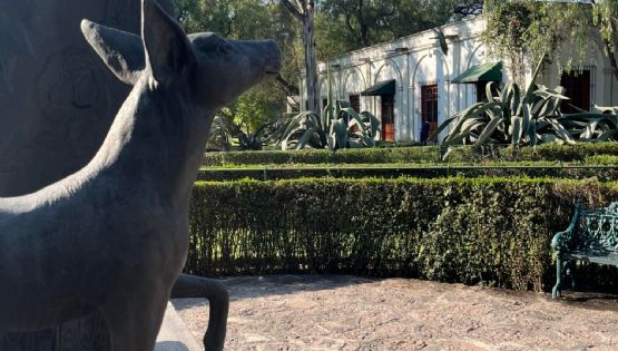 Analizan el fideicomiso del Museo Dolores Olmedo; “cambiar de fiduciaria fue irregularidad”