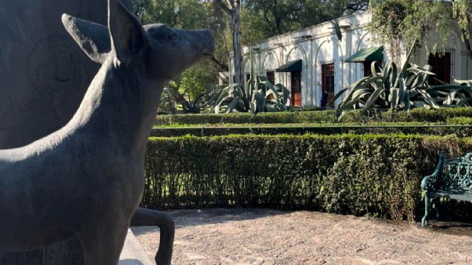 Analizan el fideicomiso del Museo Dolores Olmedo; “cambiar de fiduciaria fue irregularidad”