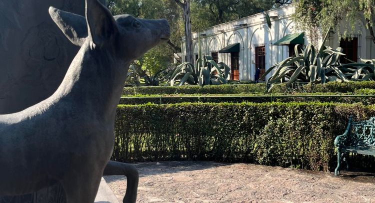 Analizan el fideicomiso del Museo Dolores Olmedo; “cambiar de fiduciaria fue irregularidad”