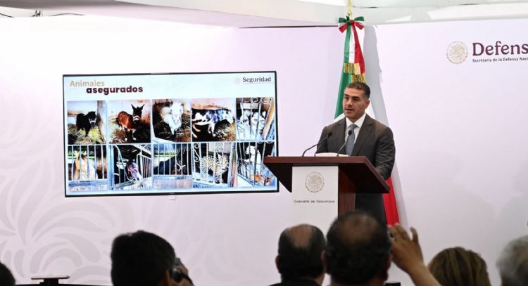 Así era el “modus operandi” de la red de huachicoleo desmantelada en megaoperativo (Video)