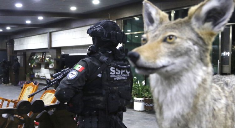 Autos de lujo y animales exóticos: las imágenes del megaoperativo (Fotogalería y video)