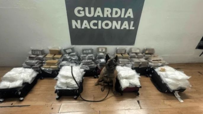 Abandonan maletas con más de 250 kilos de droga en el Aeropuerto Internacional de Tijuana