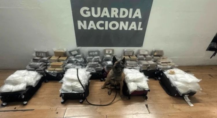 Abandonan maletas con más de 250 kilos de droga en el Aeropuerto Internacional de Tijuana