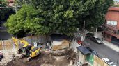 Foto ilustrativa de la nota titulada: Vecinos exigen a inmobiliaria que no sea talado "Laureano", un árbol de 100 años en la Benito Juárez