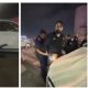 Agreden a Antonio Attolini al salir de un concierto de Miguel Bosé (Video)