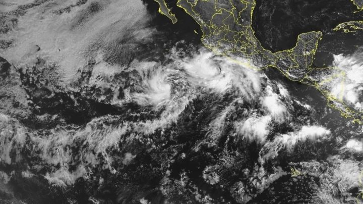 Prevén que tormenta tropical Bárbara se convierta en huracán; ¿qué estados serán afectados?