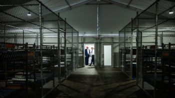 "Nos tratan como perros”: migrantes relatan la vida en la cárcel Alligator Alcatraz de Trump