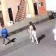 Video capta feminicidio en Guadalajara: sujeto discute con mujer y la asesina con arma larga