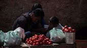Foto ilustrativa de la nota titulada: Consumidores mexicanos pagarán el precio del arancel al jitomate impuesto por EU: ANPEC