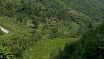 Jueza niega amparo a indígenas que buscan detener la construcción de la vía San Cristóbal-Palenque