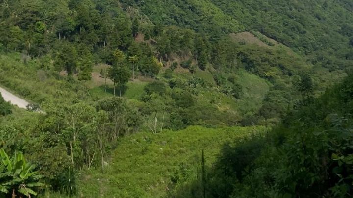 Jueza niega amparo a indígenas que buscan detener la construcción de la vía San Cristóbal-Palenque