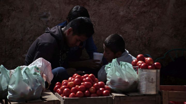 Consumidores mexicanos pagarán el precio del arancel al jitomate impuesto por EU: ANPEC