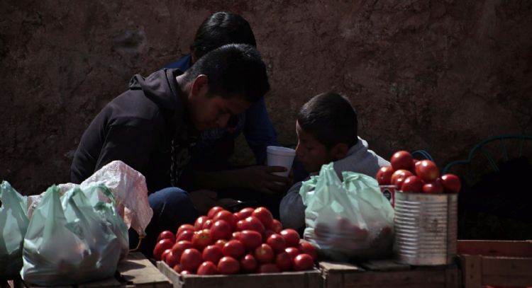 Consumidores mexicanos pagarán el precio del arancel al jitomate impuesto por EU: ANPEC