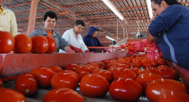 México acusa a EU de motivación política tras el arancel de 17.09% al jitomate