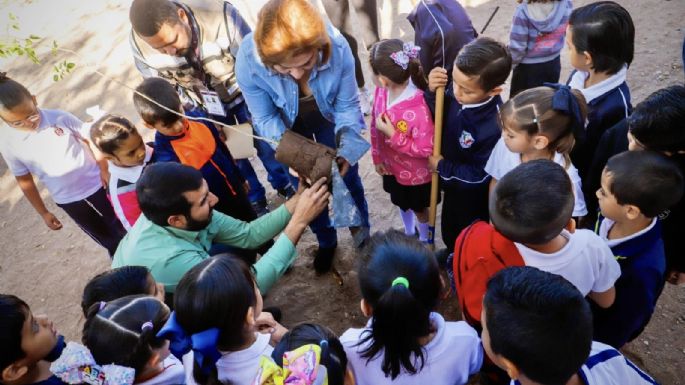 Violencia en Sinaloa deja importante afectación a niños y a su educación: Mexicanos Primero
