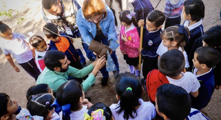 Violencia en Sinaloa deja importante afectación a niños y a su educación: Mexicanos Primero