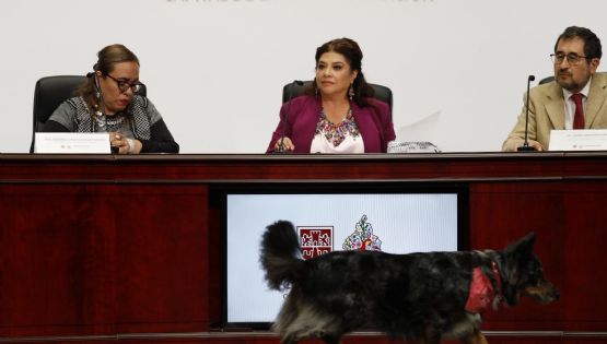 Anuncian protocolo contra disturbios para la próxima marcha contra la gentrificación