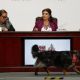 Anuncian protocolo contra disturbios para la próxima marcha contra la gentrificación