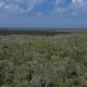Greenpeace pide publicar prohibición a Cemex para extraer material de la selva de Tulum