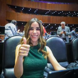 “Una disculpa fue suficiente”: Diputada Barreras busca frenar fallo contra Karla Estrella Murrieta