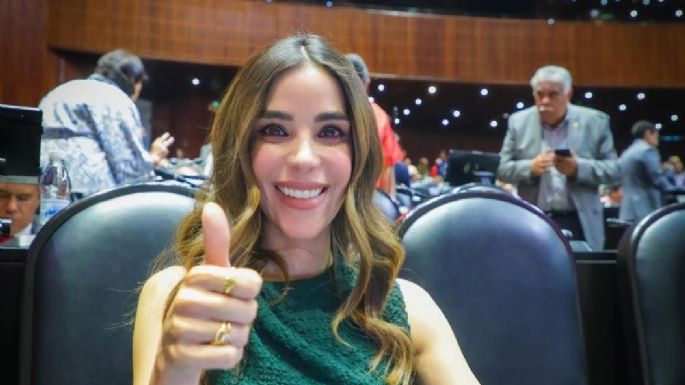 “Una disculpa fue suficiente”: Diputada Barreras busca frenar fallo contra Karla Estrella Murrieta