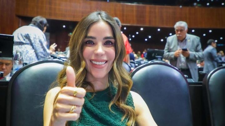“Una disculpa fue suficiente”: Diputada Barreras busca frenar fallo contra Karla Estrella Murrieta