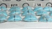 Foto ilustrativa de la nota titulada: Decomisan 200 mil pastillas de fentanilo en un autobús de Sonora; hay dos detenidos