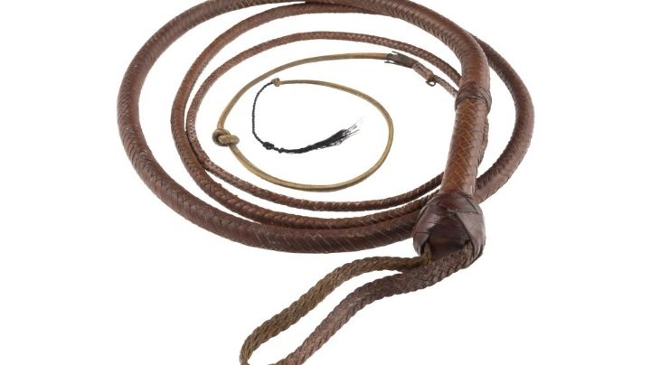 El látigo de Indiana Jones se vende por 525 mil dólares en una subasta