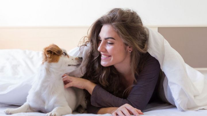 Día Mundial del Perro: Qué dice la ciencia sobre dejar que tu mascota duerma contigo