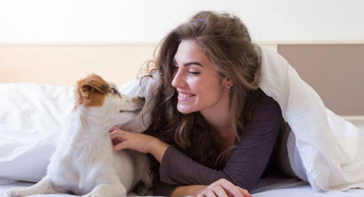 Día Mundial del Perro: Qué dice la ciencia sobre dejar que tu mascota duerma contigo