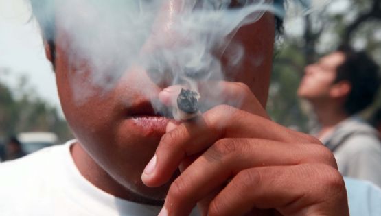 El Consejo de Nueva Derecha dice que Clara Brugada “construye una ciudad de mariguanos”