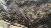 Foto ilustrativa de la nota titulada: INAH confirma descubrimiento de pinturas rupestres en Tehuacán