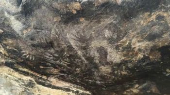 INAH confirma descubrimiento de pinturas rupestres en Tehuacán