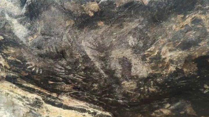 INAH confirma descubrimiento de pinturas rupestres en Tehuacán