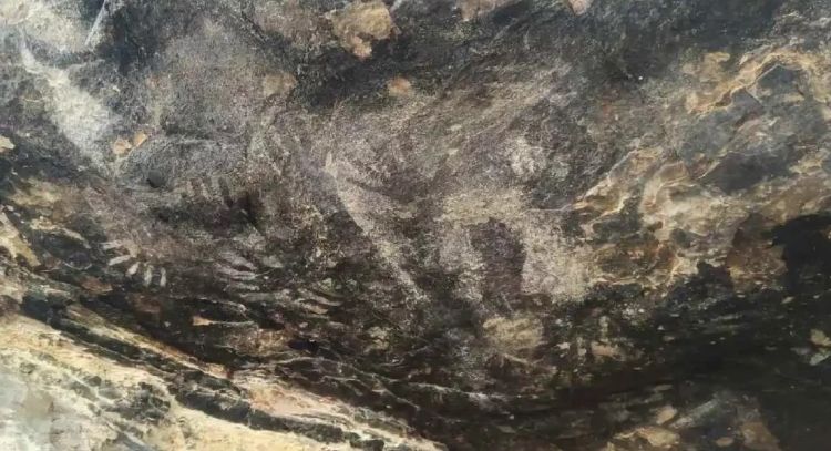 INAH confirma descubrimiento de pinturas rupestres en Tehuacán