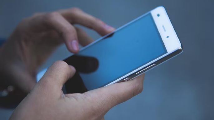 "Kachi", una app para aprender náhuatl diseñada por estudiantes de la UNAM
